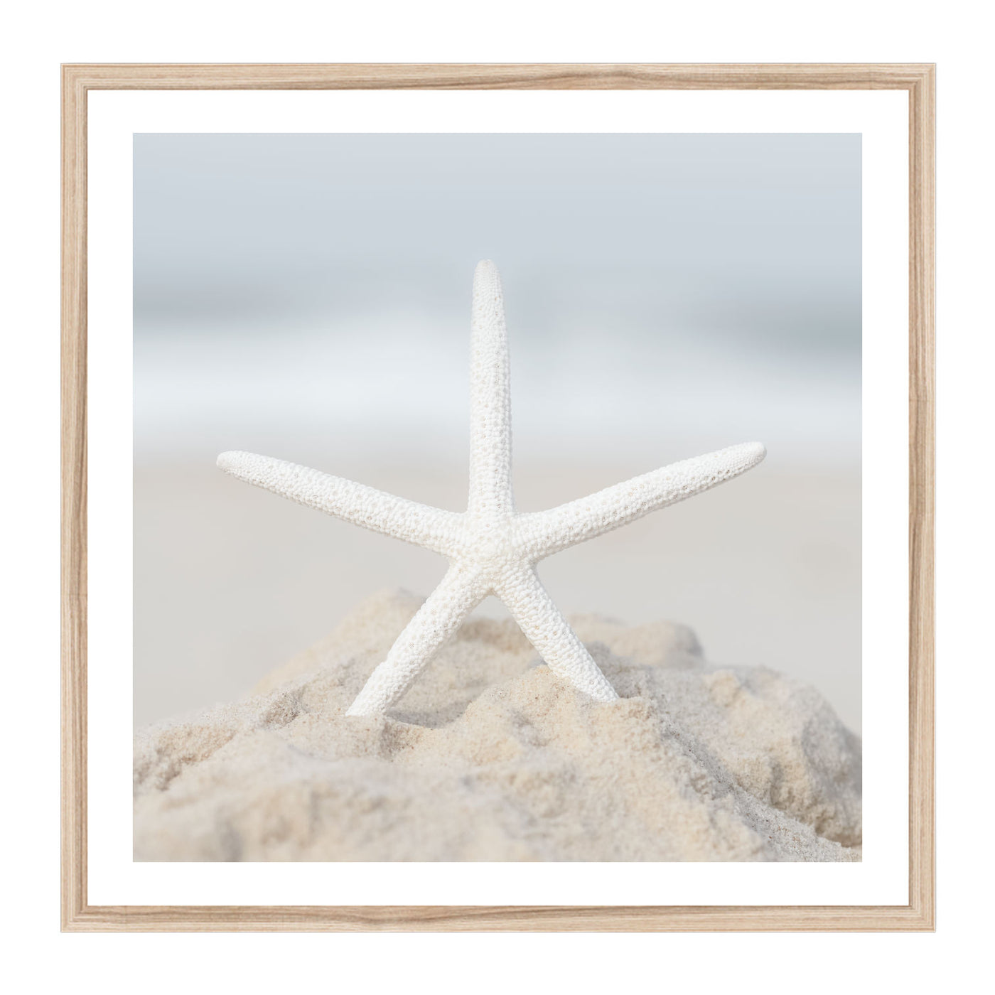 Starfish II | coastal wall art print