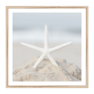 Starfish II | coastal wall art print