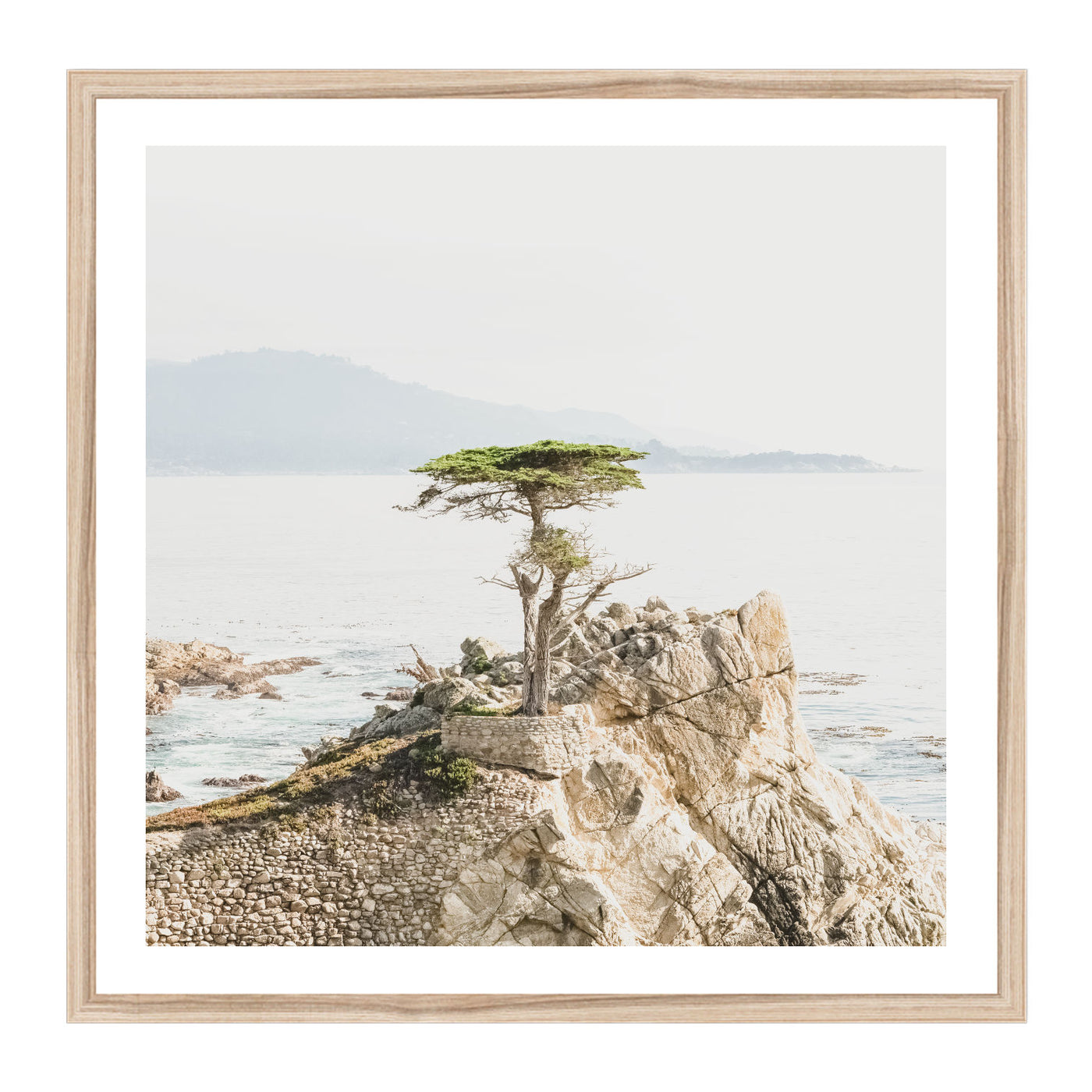 Lone Cypress II | Coastal Wall Art Print