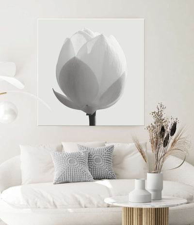 Lotus Flower Square | Flower Wall Art | Stretched Canvas PrintPrint
