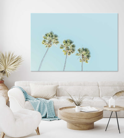Trio Palm Trees No. 2 | Palm Wall Art | Stretched Canvas Print