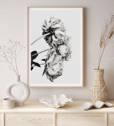 peony wall art, black & white flower print | arrtopia