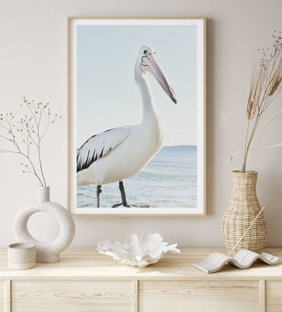 pelican art print, bird wall art, coastal print | arrtopia