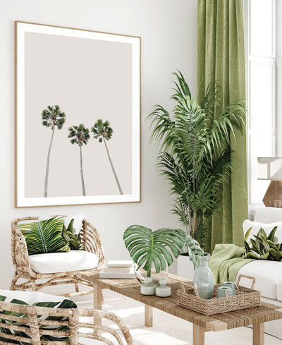 Trio Palms III