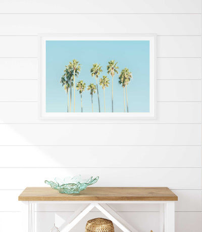 Blue Sky Palms III