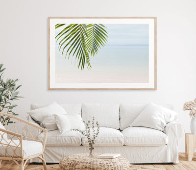 Shoreline Oasis