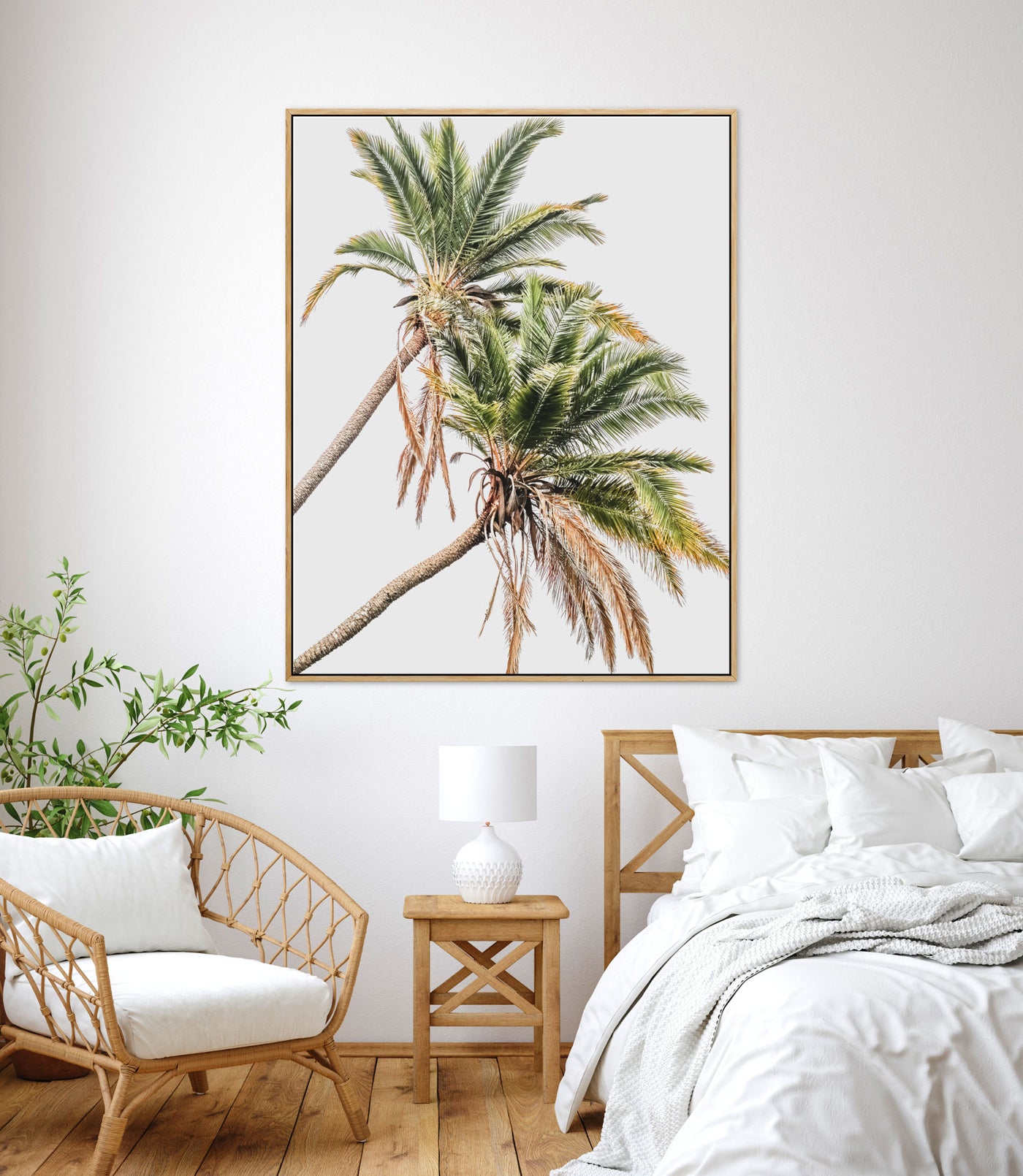 Senegal Palms