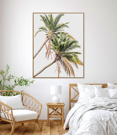 Senegal Palms