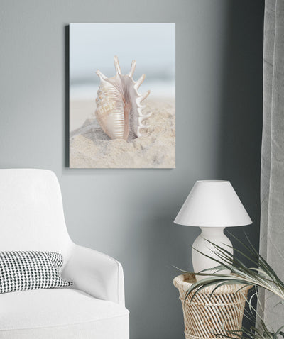 Seashell In Sand III | Coastal Wall Art | Canvas Print