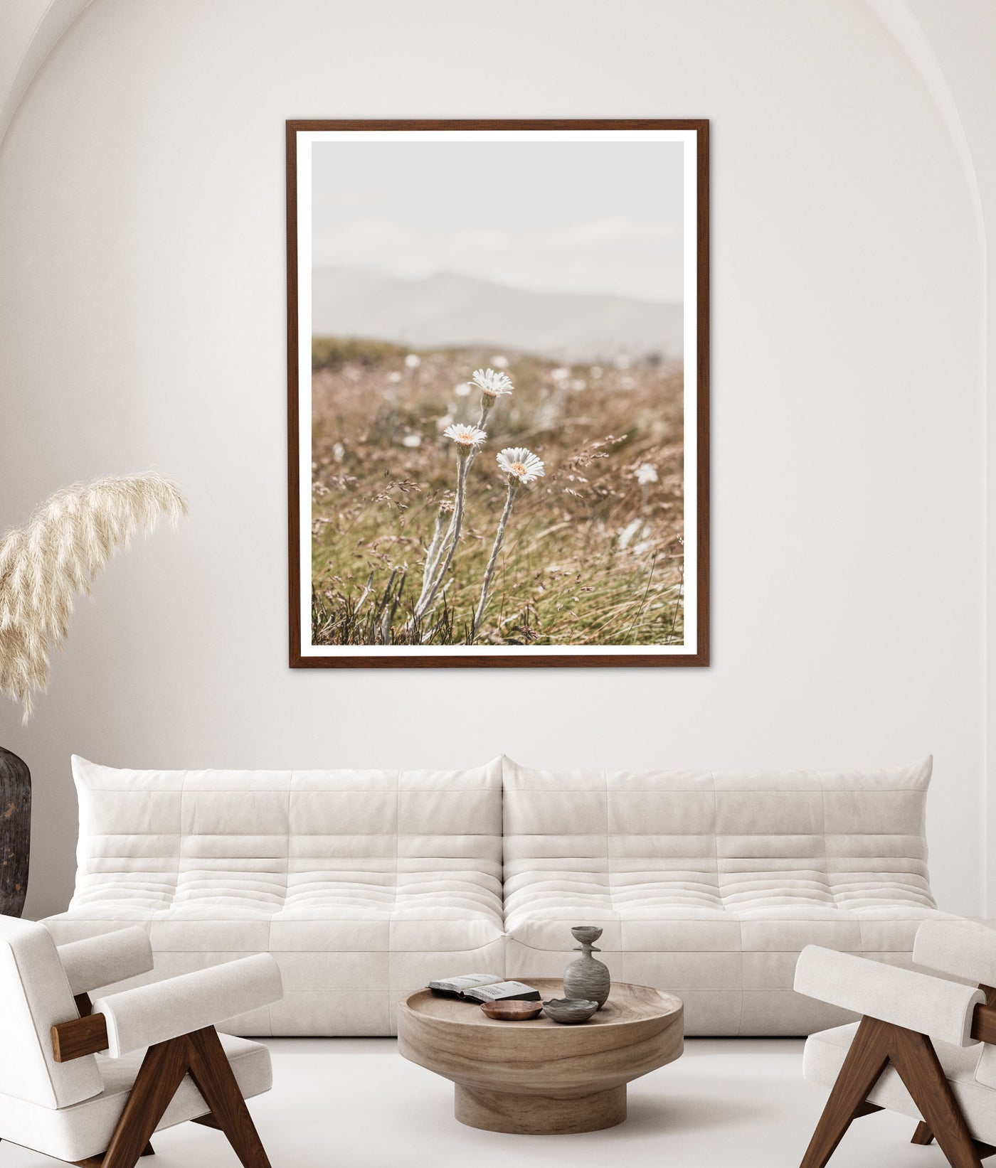 Three Mountain Daisies