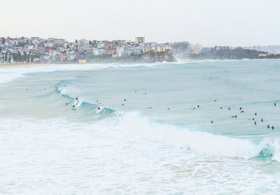 Manly Surfers III