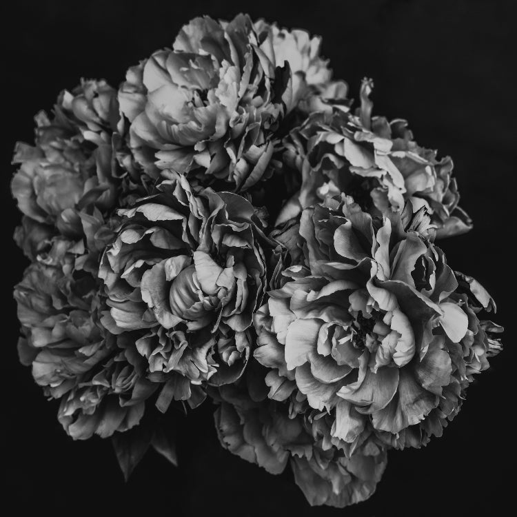 Black & White Peony Bouquet