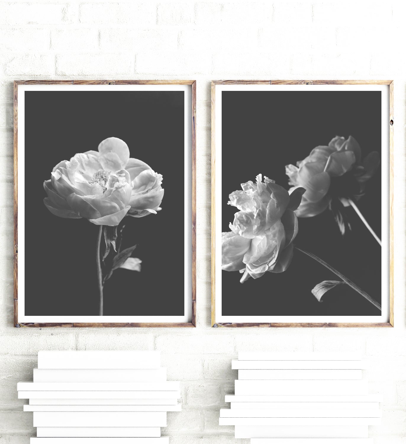 Black and White Peonies - Set of 2