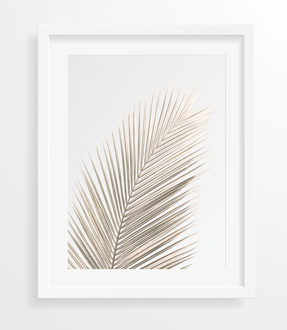palm leaf wall art print by arrtopia