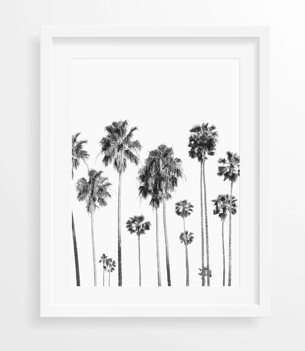 California Palms Set of 2