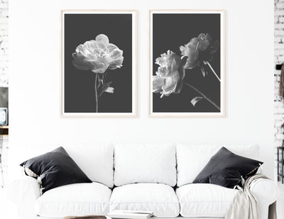 Floral Wall Art, Black & White Peony Print Set , Large Living Room Wall Decor | arrtopia