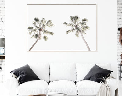 Two Palms