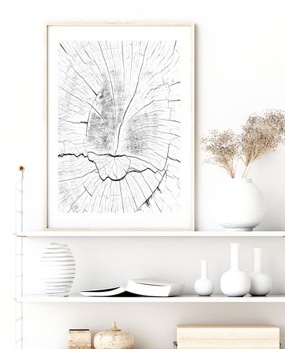 black and white tree ring art print, texture wall art | arrtopia