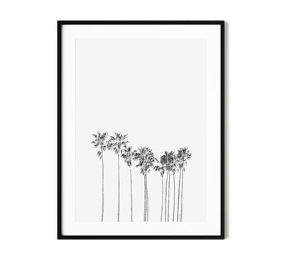 Black & White Coastal Wall Art, California Palms Photography Print, Extra Large Wall Decor | arrtopia