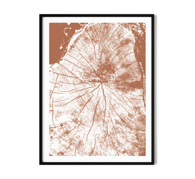 Terracotta Tree Ring Abstract