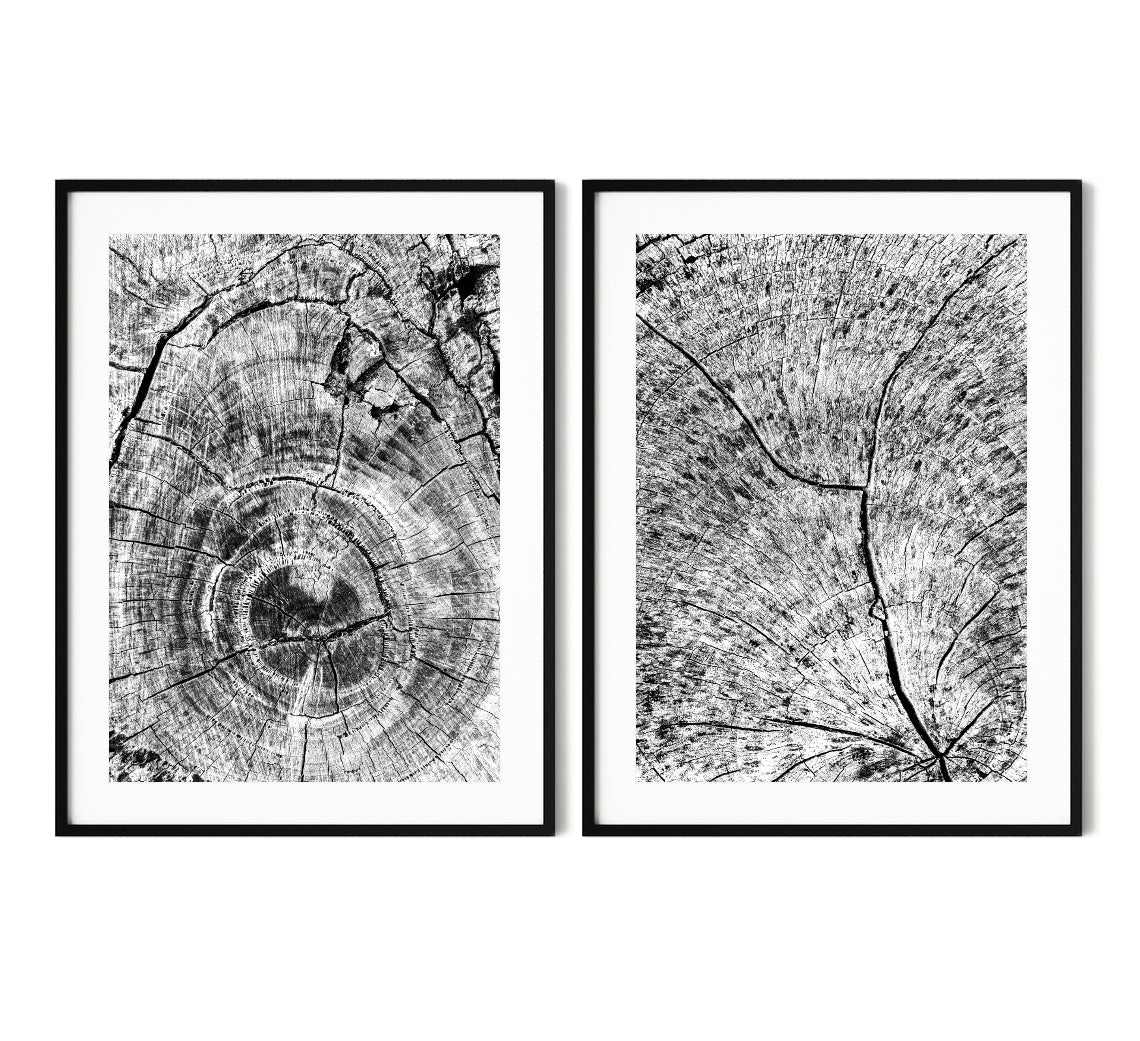 Tree Ring Abstracts - Set of 2 | Poster Set or Canvas Prints | ARRTOPIA