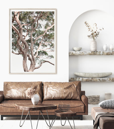 Ecalyptus Tree Wall Art, Nature Photography, Extra Large Canvas Prints for Living Room | arrtopia