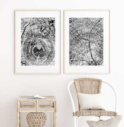Black & White Abstract Wall Art,  Nature Abstracts Art Print Set, Ready-to-Hang Canvas, Extra Large Wall Decor | arrtopia