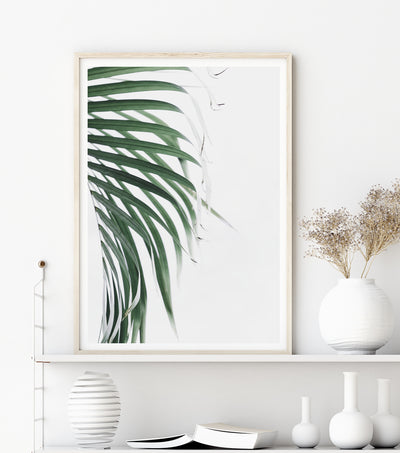 Botanical Wall Art, Palm Leaf Print, Large  Living Room Wall Decor | arrtopia
