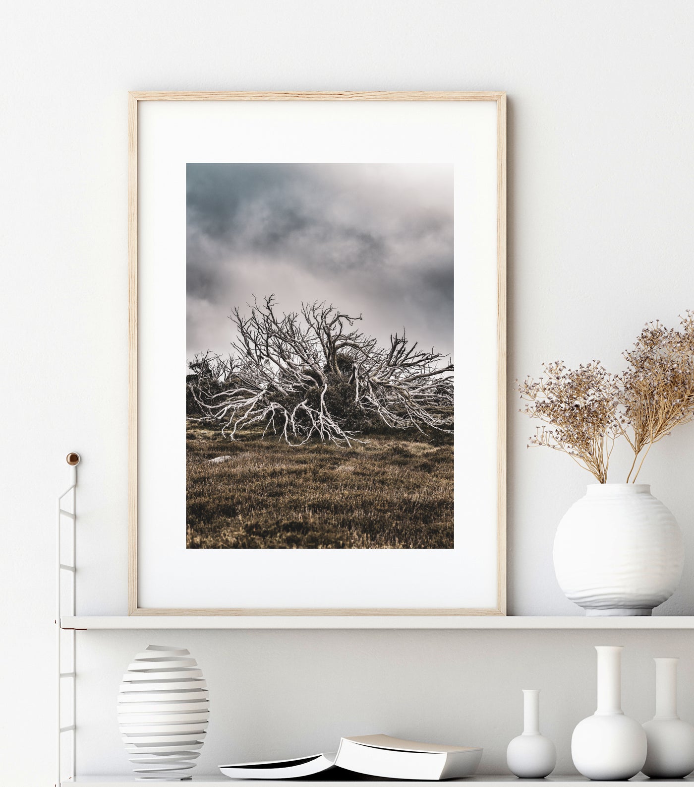 Neutral Nature Wall Art,  Australia Landscape Photography Print, Large Wall Decor | arrtopia