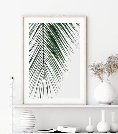 Palm Leaf IV