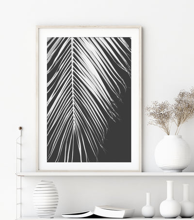 Black & White Botanical Wall Art, Palm Leaf Print, Large Nordic Living Room Wall Decor | arrtopia
