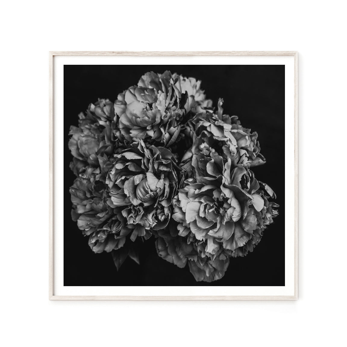 Black & White Peony Bouquet