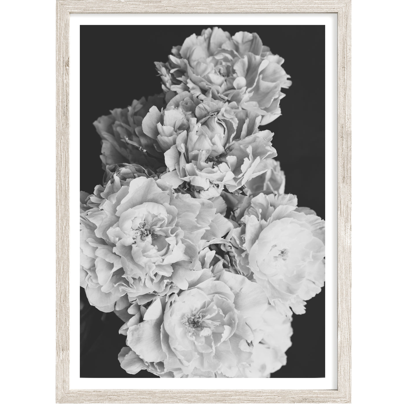 Black and White Peony Bouquet No. 2