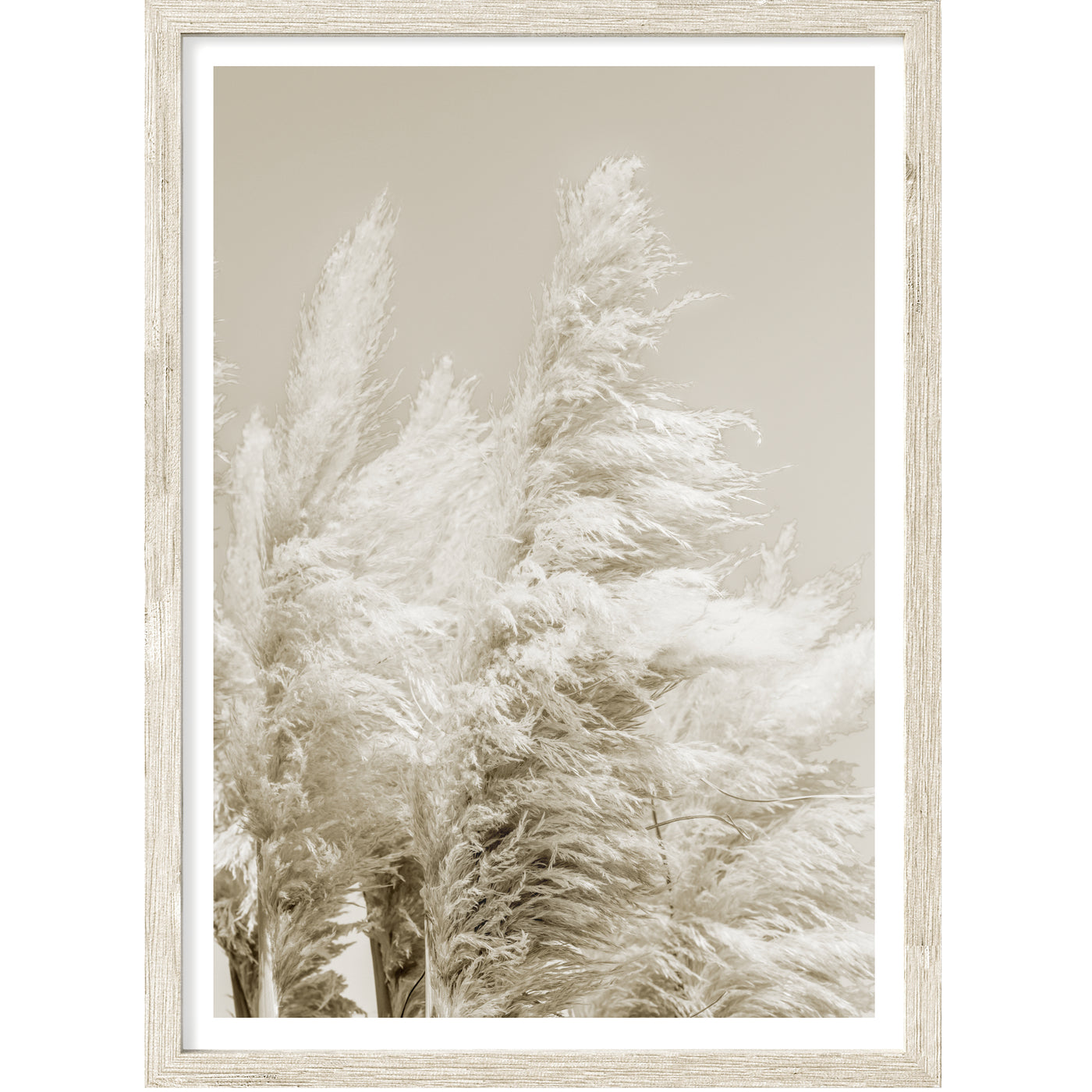Neutral Pampas Poster