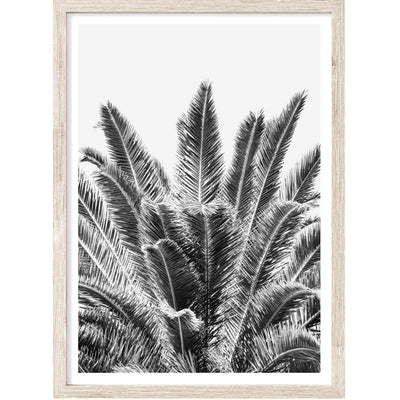 black & white palm wall art, palm leaves poster, large palm print | arrtopia