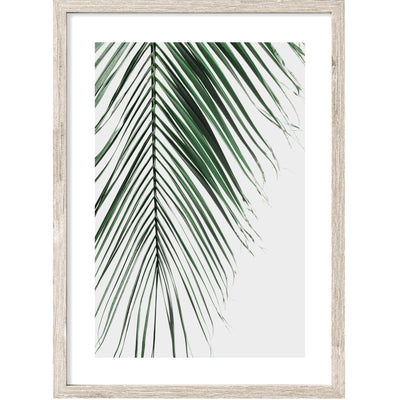 large palm leaf wall art print by arrtopia
