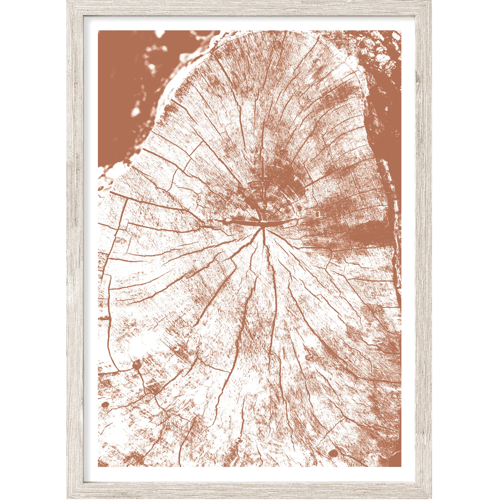 Terracotta Tree Ring Abstract | Texture Wall Art | Canvas Print or Art ...