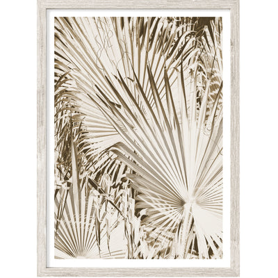 Neutral Nature Wall Art, Mexican Palm Leaves Photography Print, Large Nordic Wall Decor | arrtopia
