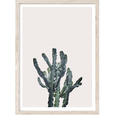 Cactus No. 2