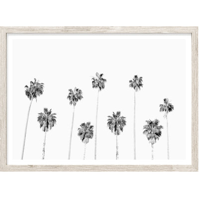 Black & White Coastal Wall Art, LA Palms Photography Print, Extra Large Wall Decor | arrtopia