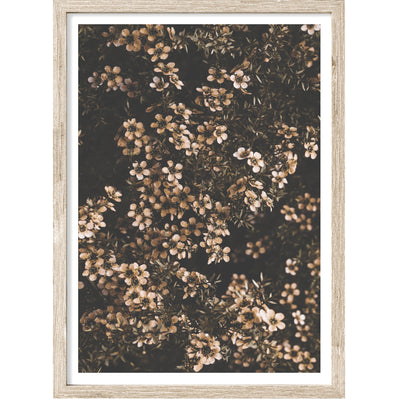 extra large flower poster, floral wall art print | arrtopia