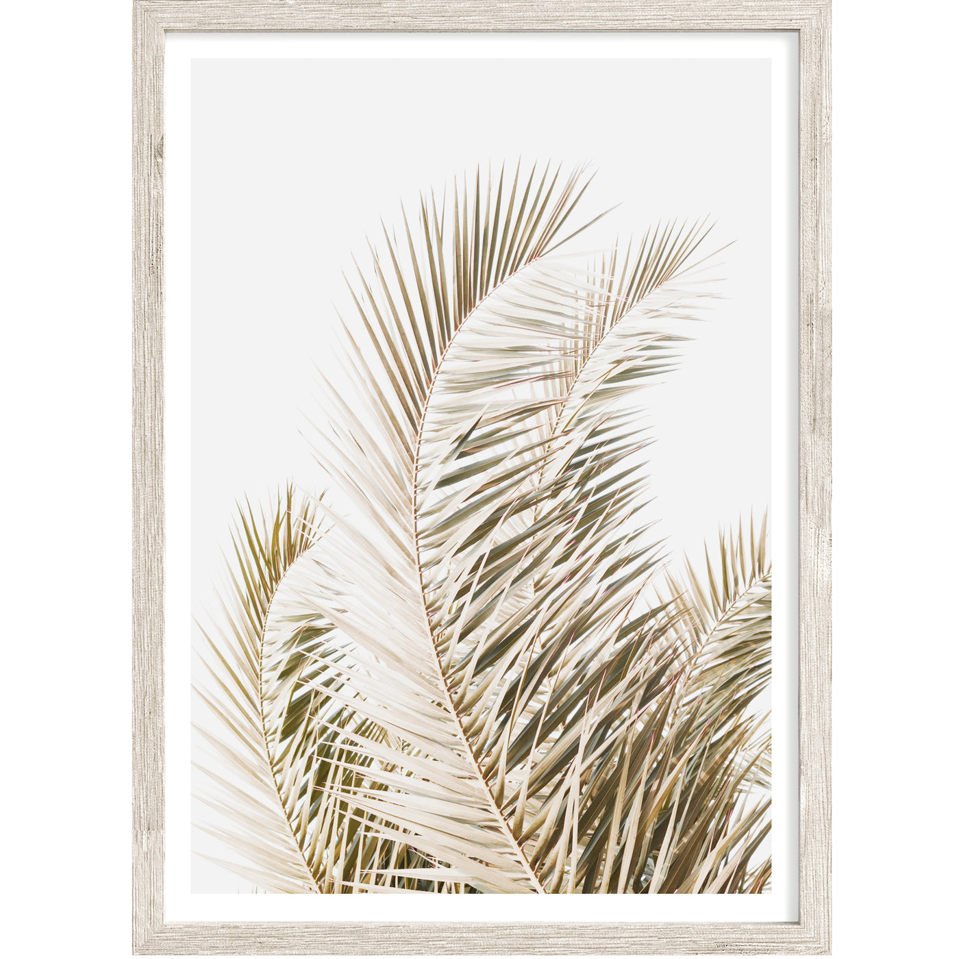 large palm art print, palm leaves wall art decor | arrtopia