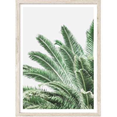 palm wall art, palm leaves poster, large palm print | arrtopia