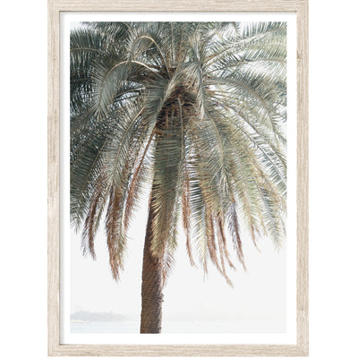 Neutral Coastal Wall Art, Palm Tree Photography Print, Extra Large Wall Decor | arrtopia