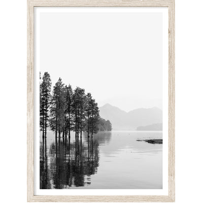 Black & White Nature Wall Art, Swiss Landscape Photography Print, Large Wall Decor | arrtopia