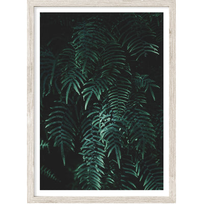 Botanical Wall Art, Ferns Print, Large Living Room Wall Decor | arrtopia