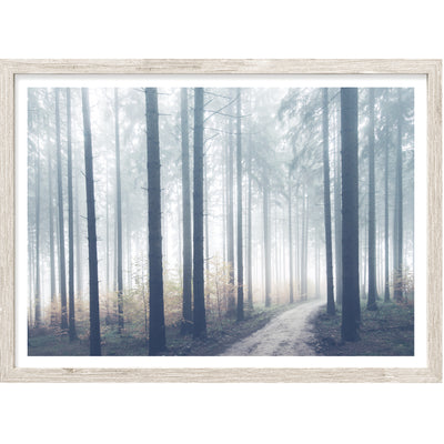 Nature Wall Art, Blue Forest Photography Print, Large Wall Decor | arrtopia