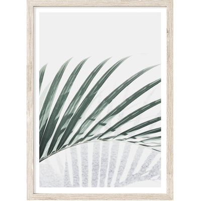large palm wall art print, tropical decor for contemporary home | arrtopia