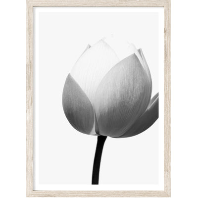 Floral Wall Art, Black & White Lotus Flower Print, Large Nordic Living Room Wall Decor | arrtopia