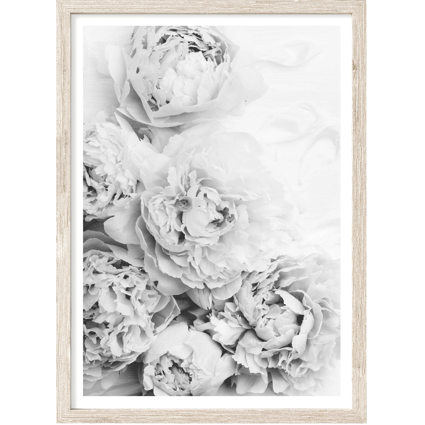 Black and White Peony Bouquet No. 3